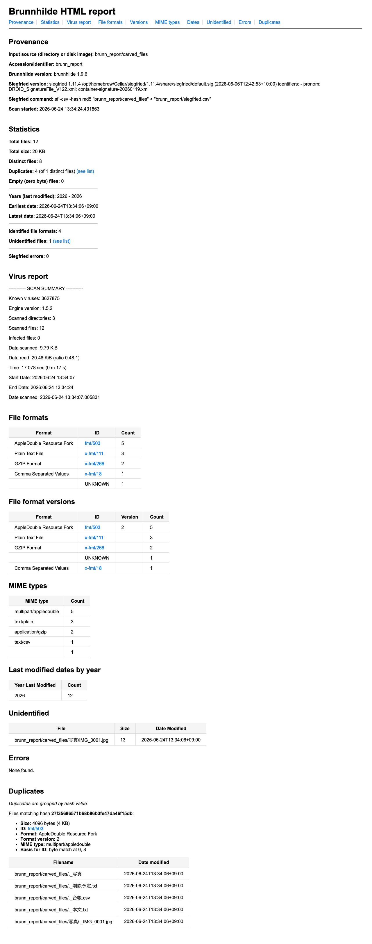 Brunnhilde が生成した report.html。Provenance・Statistics・Virus report・File formats・MIME types・Duplicates の各セクションが並ぶ