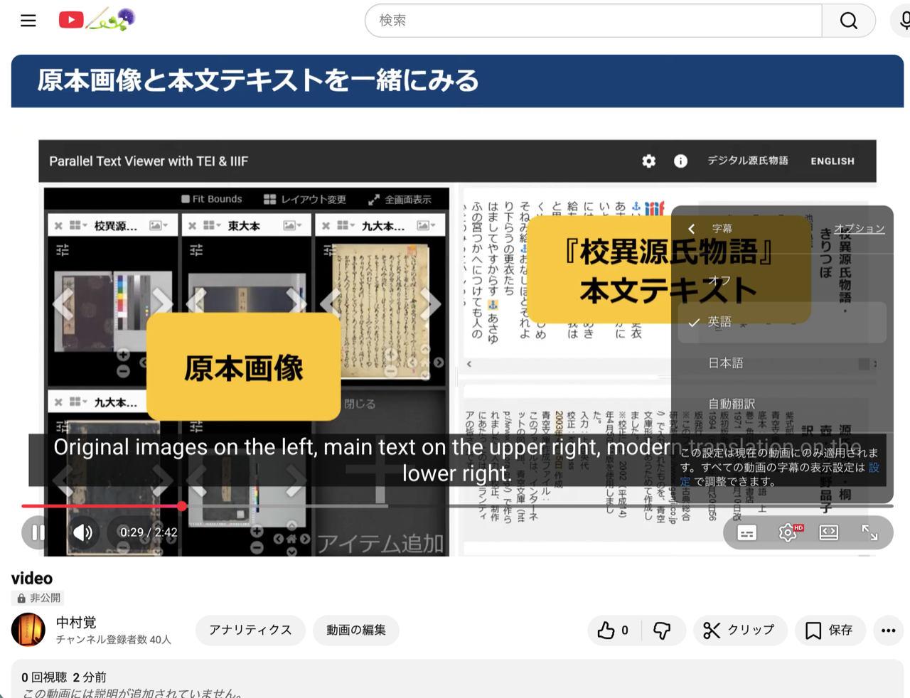 Subtitle display on YouTube